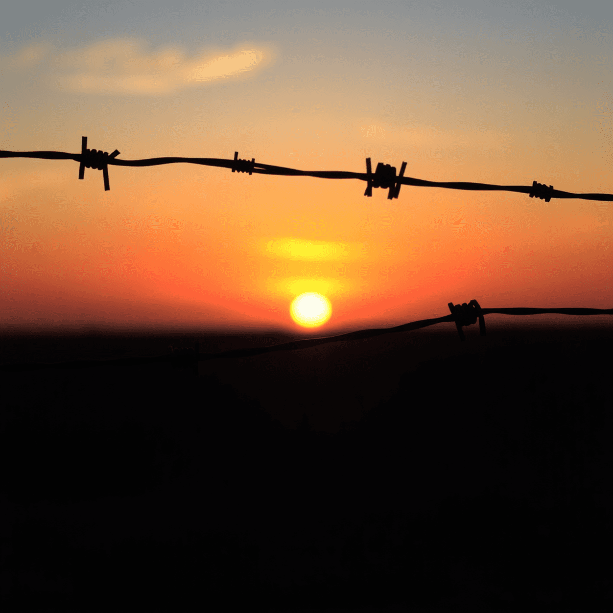 Sunset glowing softly behind barbed wire, symbolizing hope and resilience in a realistic style.